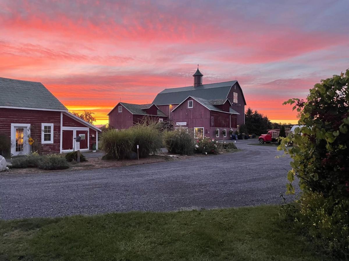 The Eddie Hotel And Farm Bloomfield Exteriér fotografie