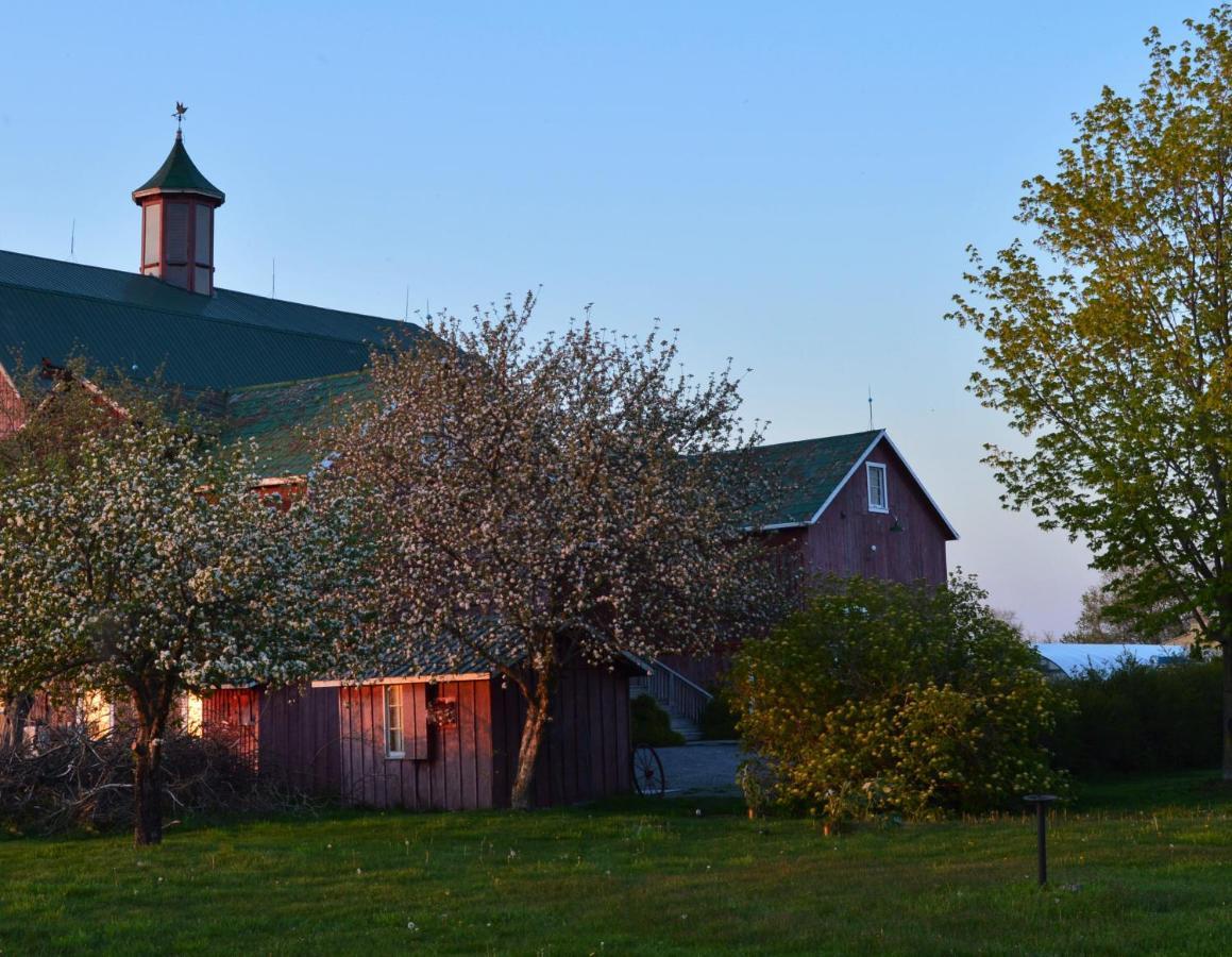 The Eddie Hotel And Farm Bloomfield Exteriér fotografie
